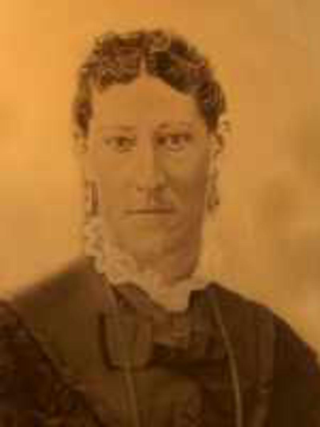 Elizabeth Bradfield (1845 - 1892) Profile